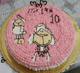 Indoor Wireless Smart Home Camera