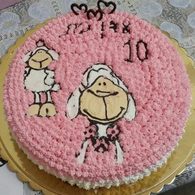 Indoor Wireless Smart Home Camera